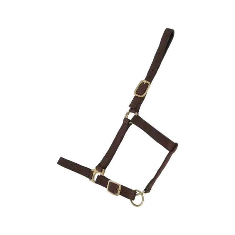 Fleece-lined horse halter T de T